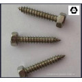 DIN 7976 Alloy Steel Hex Head Self Tapping Screw